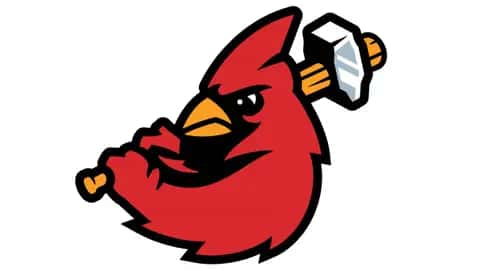 Hamilton Cardinals vs Barrie Baycats - HPW Wrestling Night