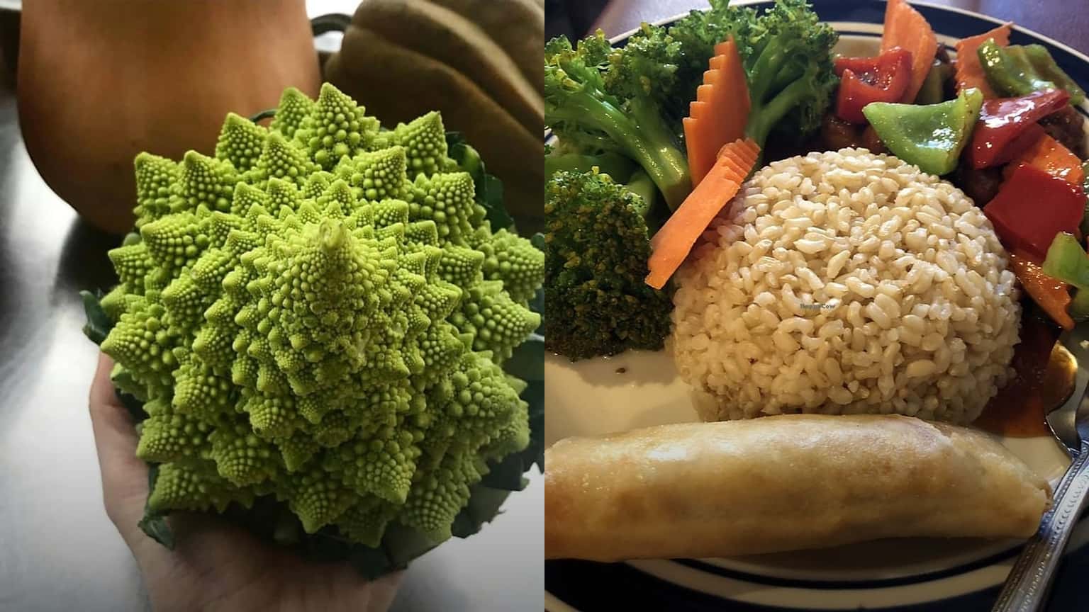 Best Vegetarian Restaurants in Winnipeg for Summer 2026