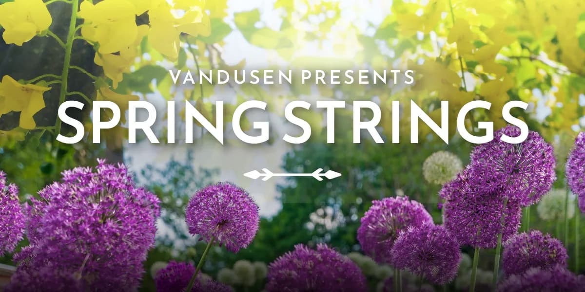 VanDusen Garden Presents: Spring Strings event poster