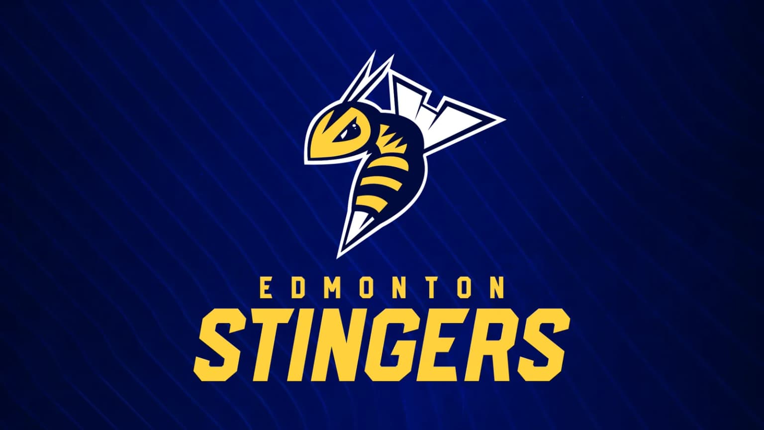 Edmonton Stingers vs. Winnipeg Sea Bears event poster