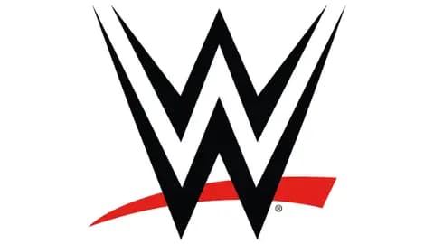 WWE Summer Tour
