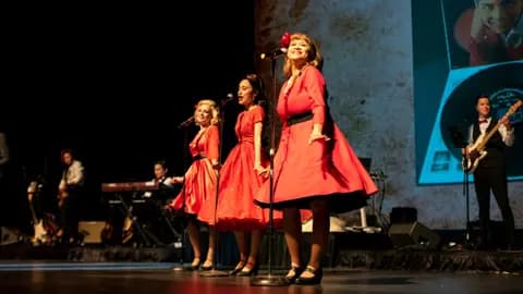 Relive the Music 50s, 60s & 70's Show