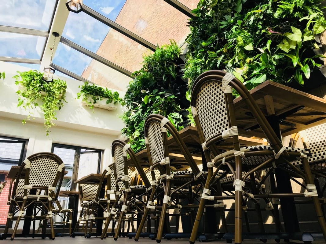 Burgundy Lion — best rooftop bars in Montreal, Spring 2026