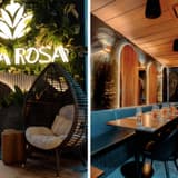 India Rosa Griffintown