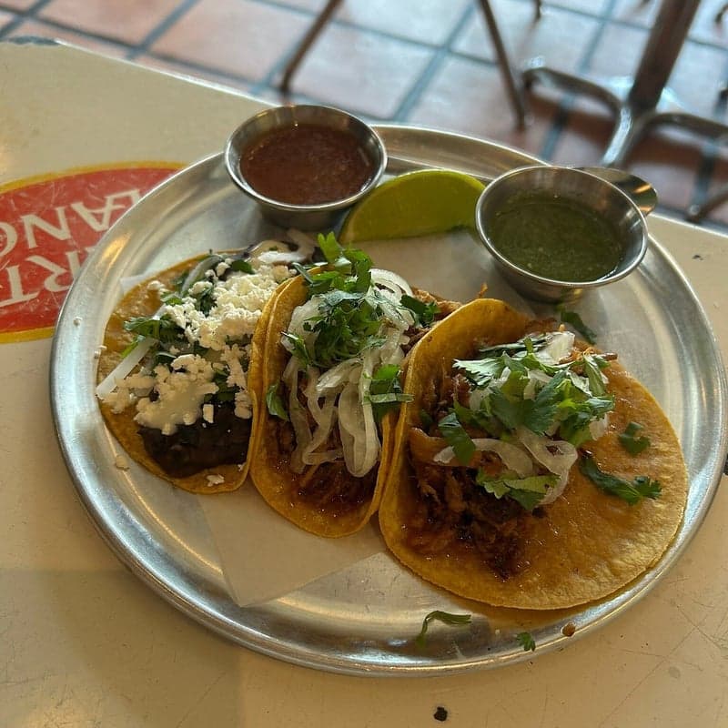 Native Tongues Taqueria - University District — venue photo