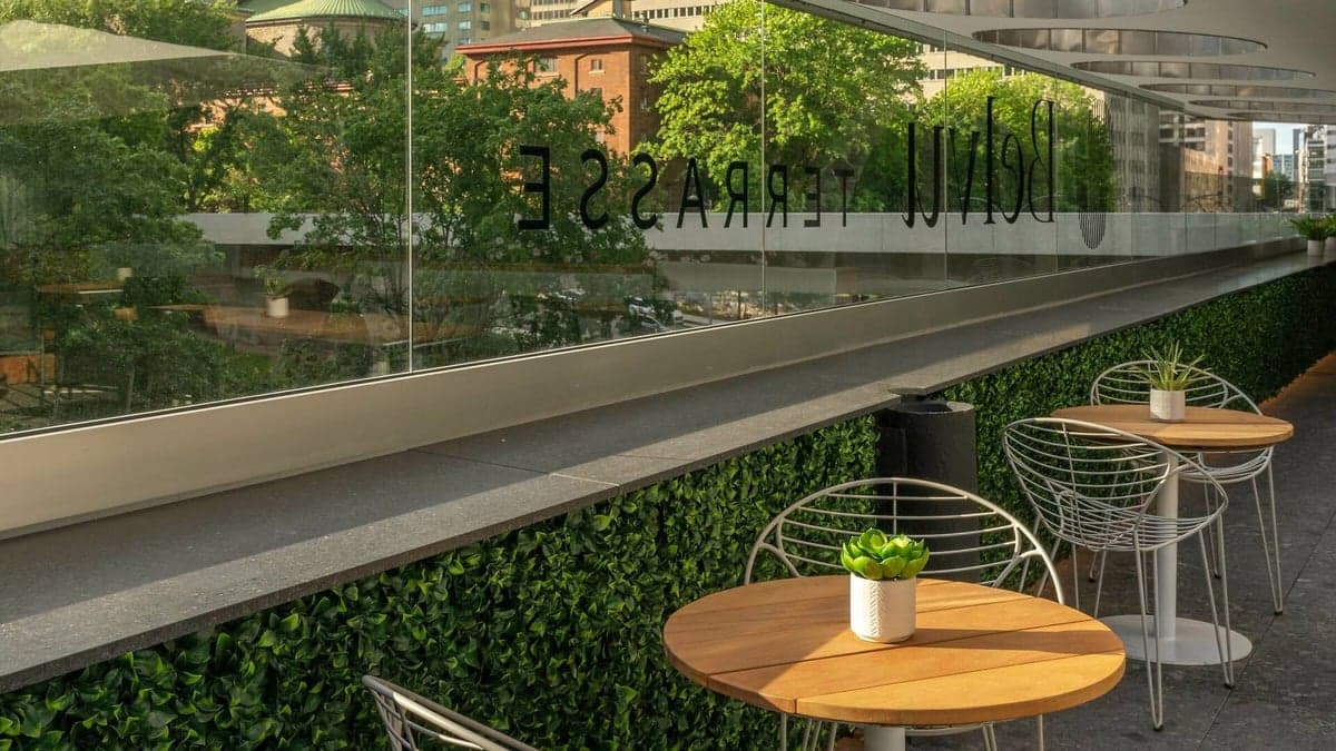 Terrasse Belvu — best rooftop bars in Montreal, Spring 2026