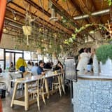 The Moth Cafe