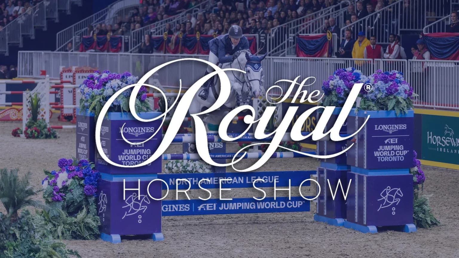 The K9 Equine Challenge & FEI 2* Grand Prix