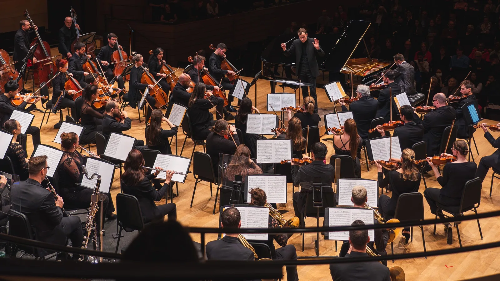 Lord of the Rings: The Fellowship of the Ring - In Concert