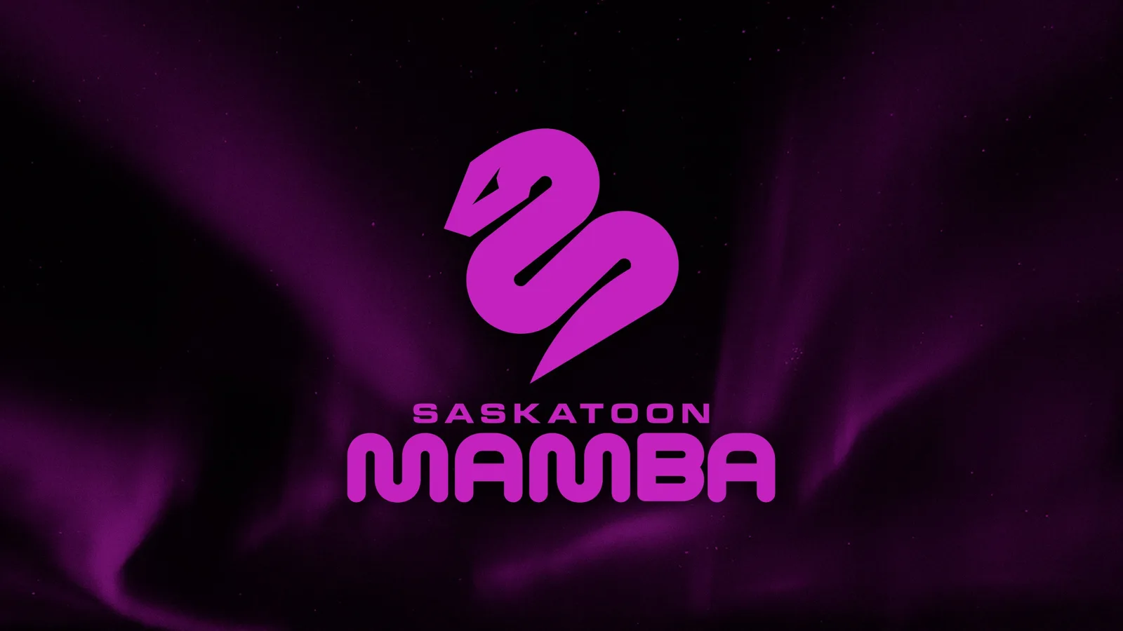 Saskatoon Mamba vs. Edmonton Stingers