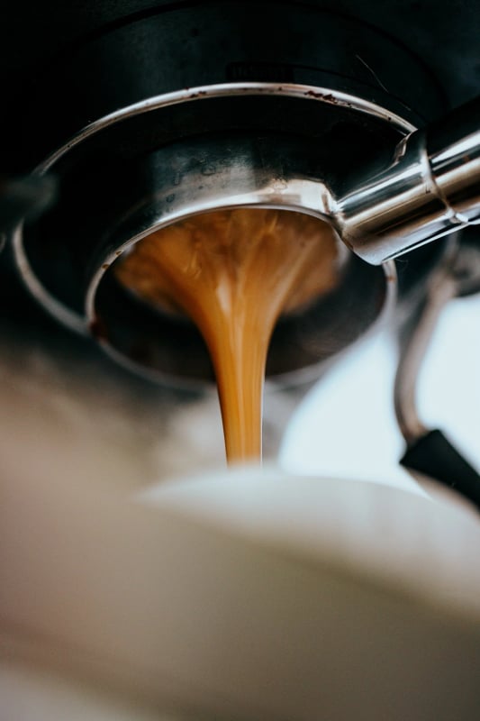 Mountain Bean Coffee Co — best coffee shops in Winnipeg, Spring 2026