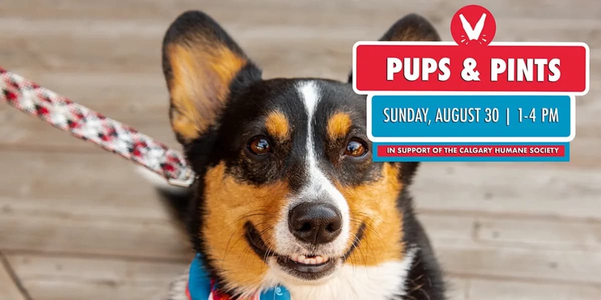 Pups & Pints at Village Brewery event poster