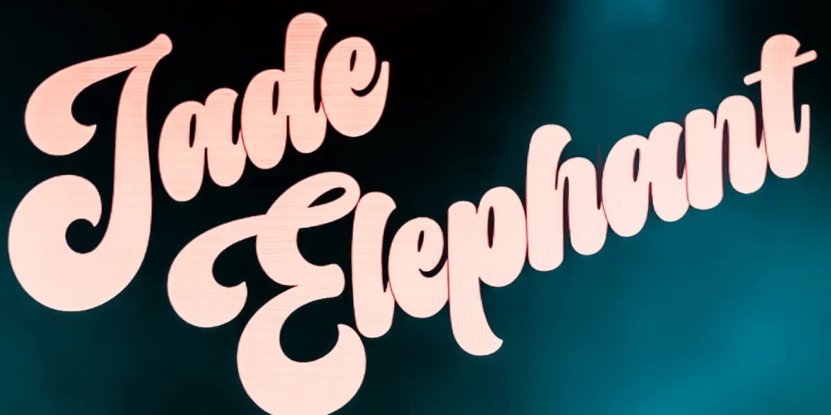 Jade Elephant & Midnight Channel at The Owl event poster