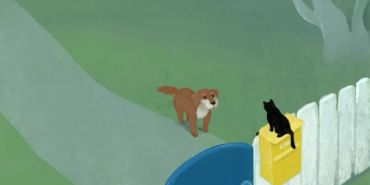 Tiny Docs & Morning Cartoons event poster