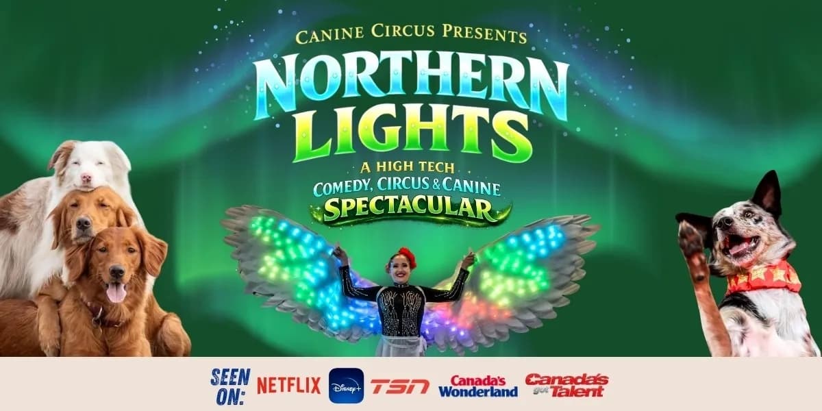 Canine Circus Presents: Northern Lights event poster