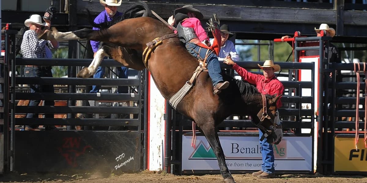 2026- Benalto Fair & Stampede event poster