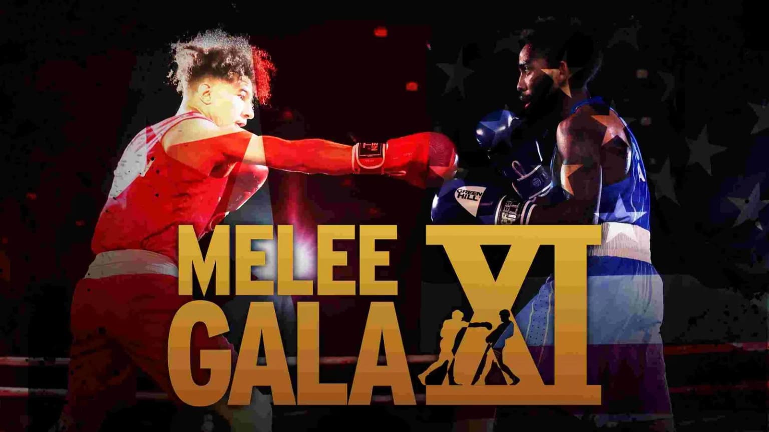MELEE GALA XI