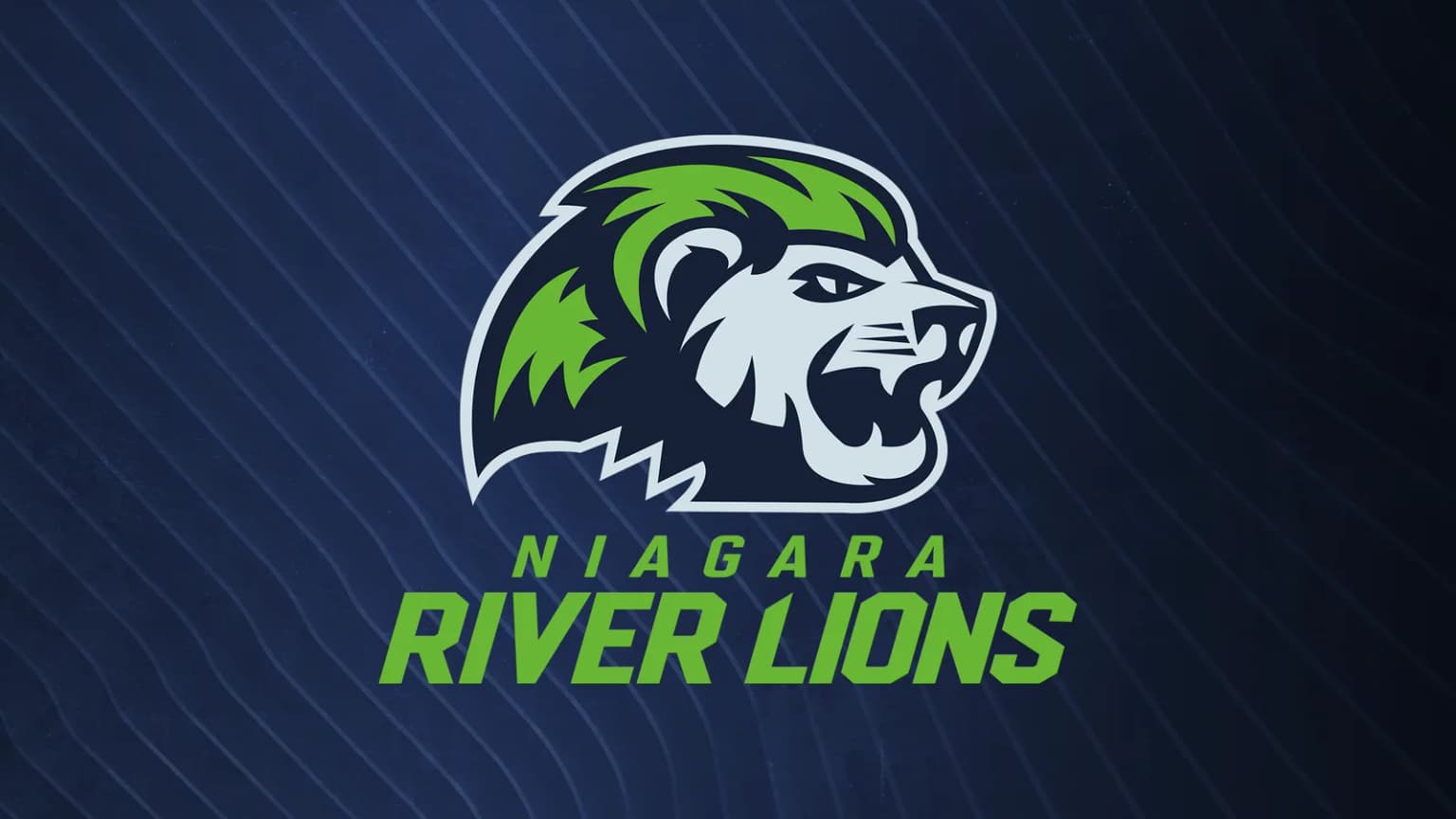 Niagara River Lions Home Playoff Game 2 event poster