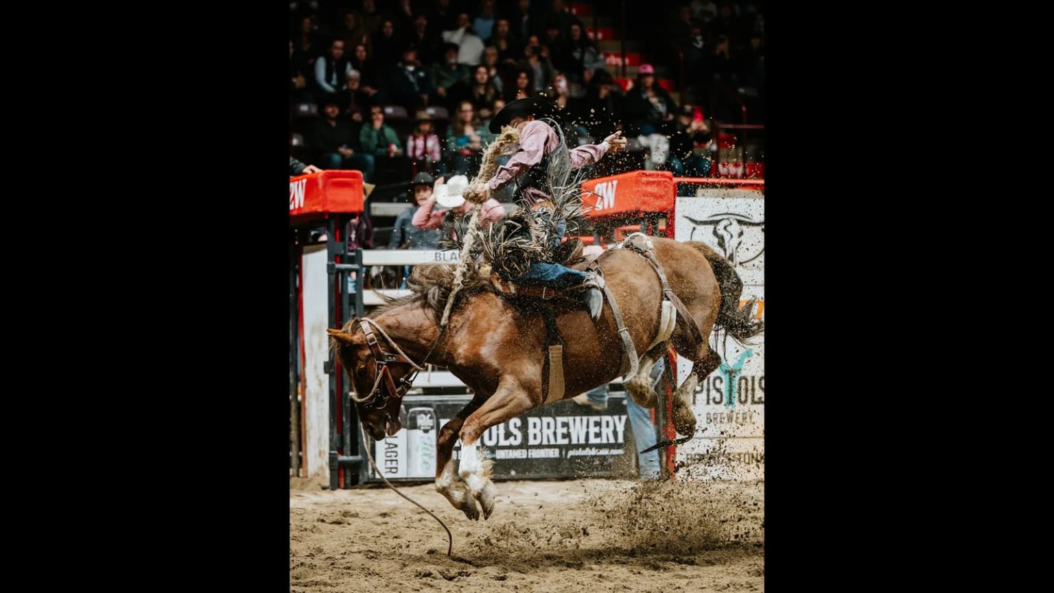 Moncton KIOTI Stampede
