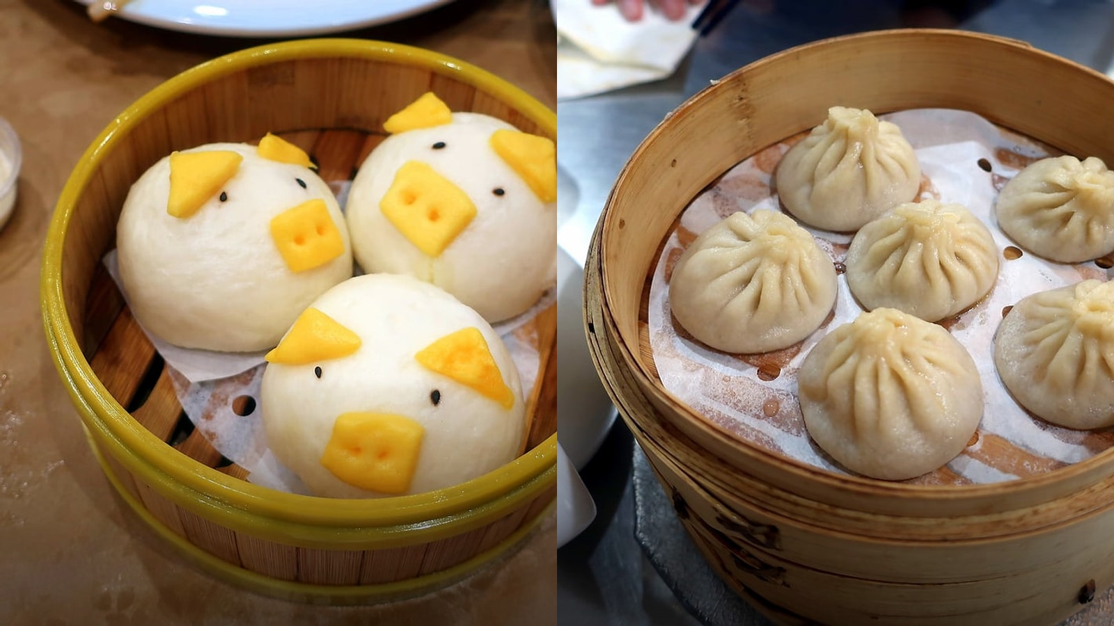 Best Dim Sum in Edmonton for Spring