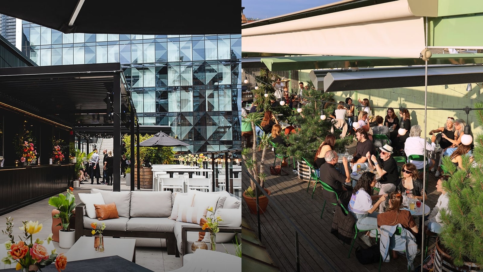 Best Rooftop Bars in Montreal for Spring