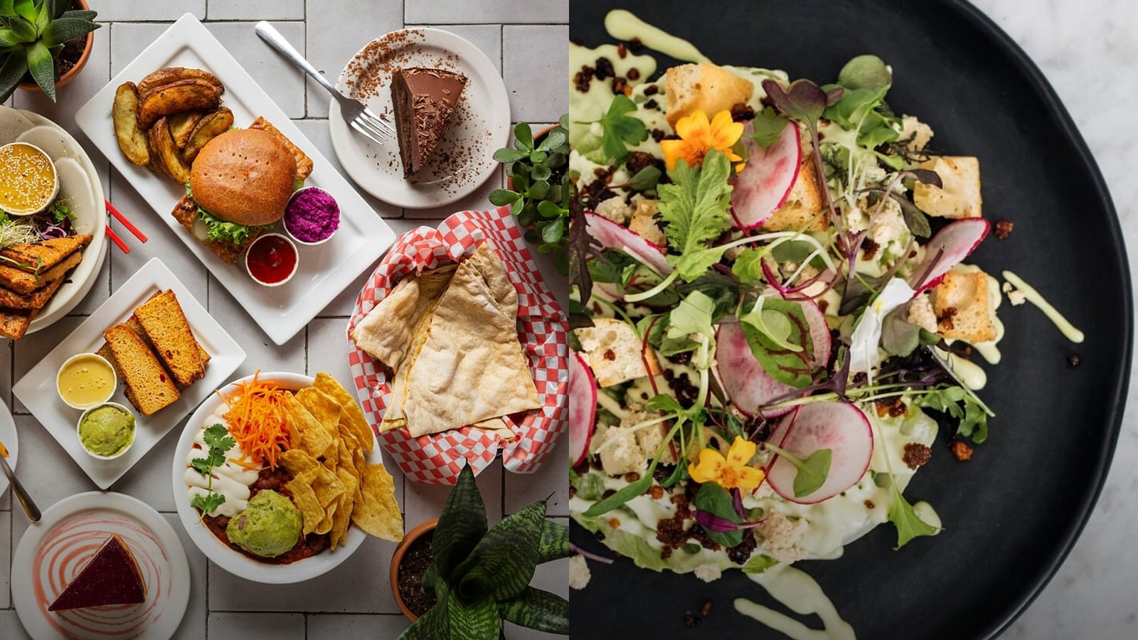 Best Vegetarian Restaurants in Montreal for Spring