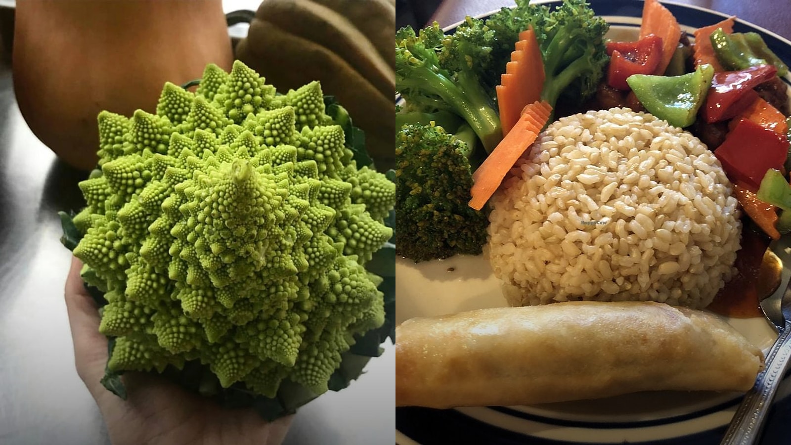 Best Vegetarian Restaurants in Winnipeg for Summer