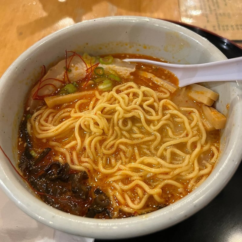 Hokkaido Ramen Santouka photo 5
