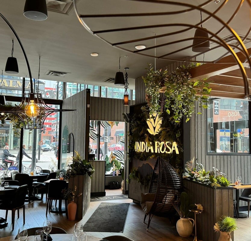 India Rosa Griffintown — best indian restaurants in Montreal, Spring 2026