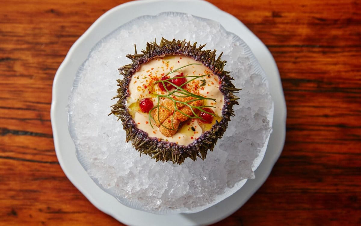 Montréal Plaza — best restaurants in Montreal, Spring 2026