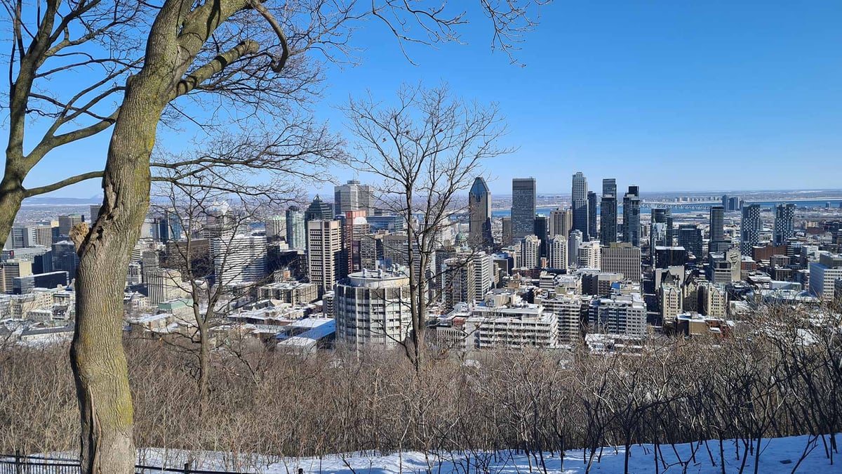 Mount Royal Park photo 4