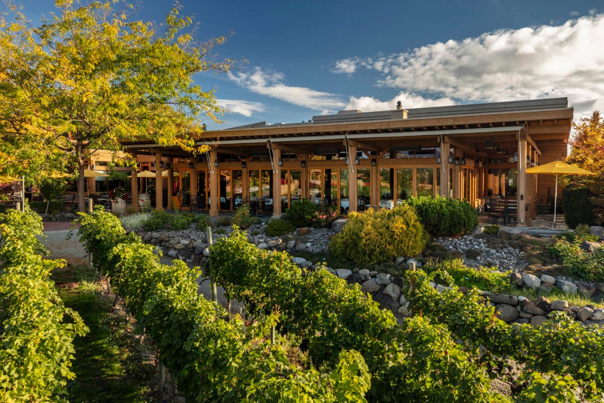 Old Vines Restaurant @ Quails' Gate Winery photo 4