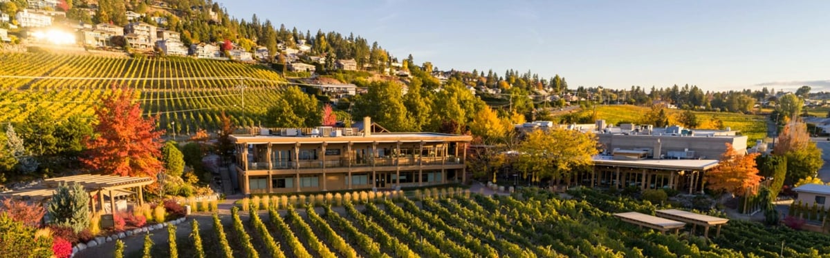 Old Vines Restaurant @ Quails' Gate Winery