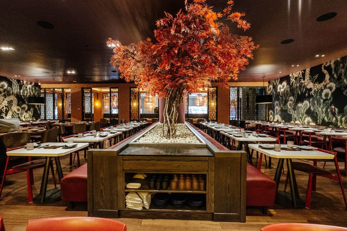 PLANTA Toronto - Queen West photo 5