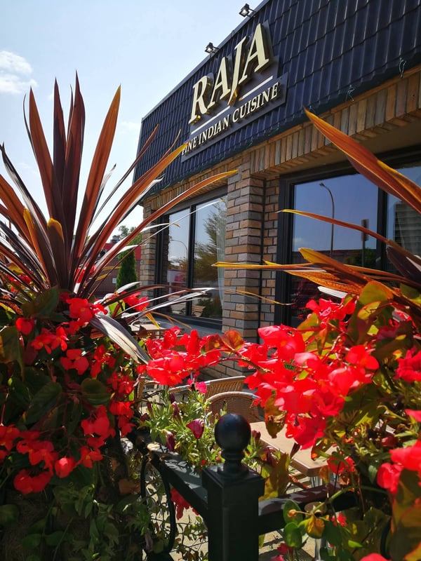 Raja Chettinad Fine Indian Kitchen (South Indian, North Indian, Indo-Chinese & Halal) photo 4