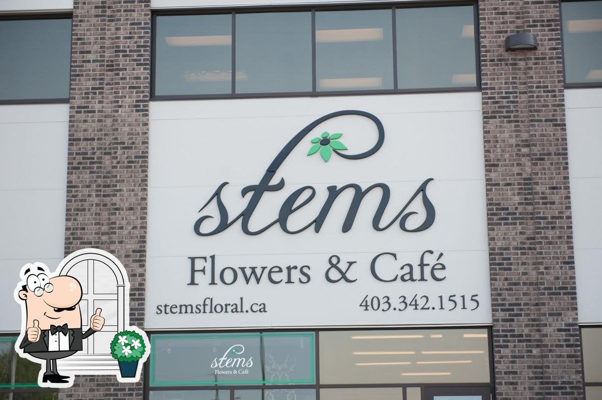 Stems Flowers and Cafe photo 5