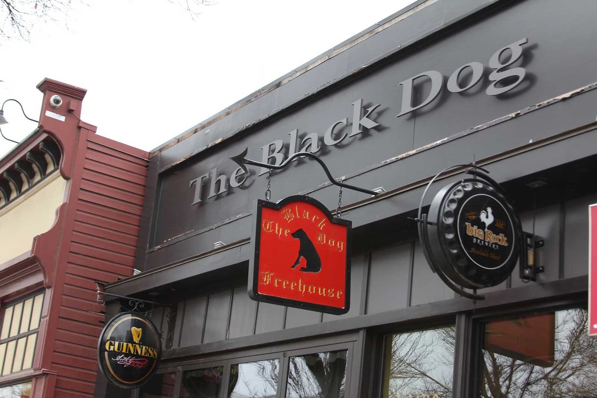 The Black Dog Freehouse food