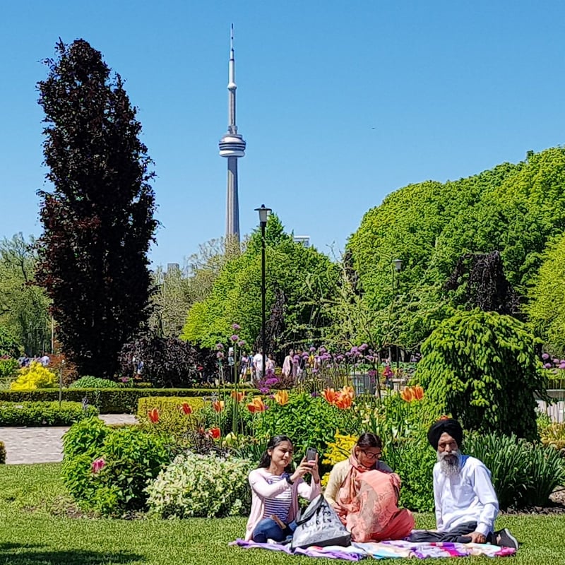 Toronto Island Park - Olympic Island photo 4